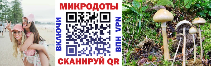 Псилоцибиновые грибы мухоморы Кумертау