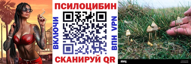 Галлюциногенные грибы мухоморы  Купить  Кумертау 